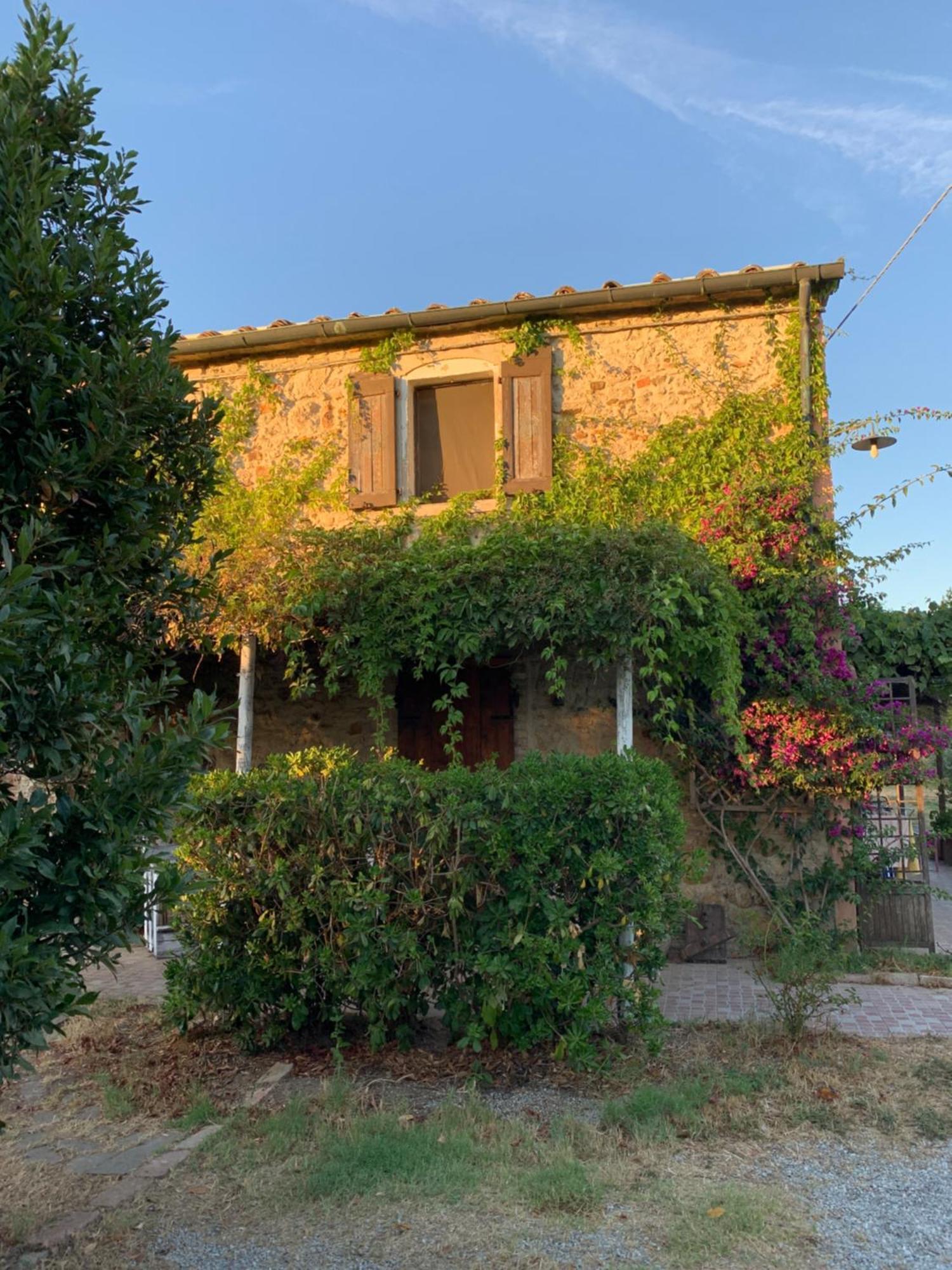 Podere Girasoli Piombino Buitenkant foto