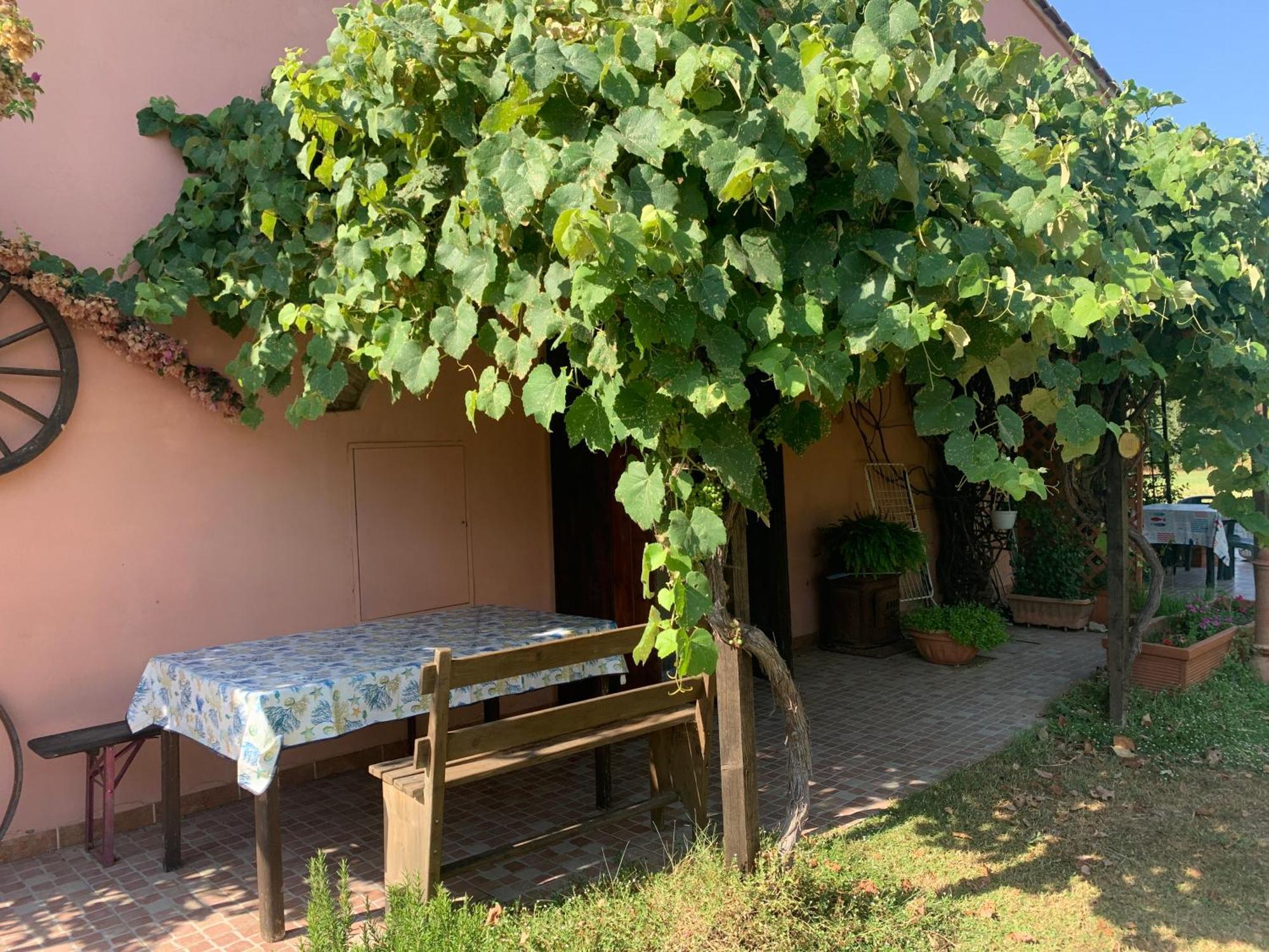 Podere Girasoli Piombino Buitenkant foto