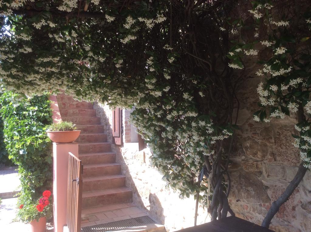 Podere Girasoli Piombino Buitenkant foto